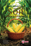 MAIZE PRODUCTION USING SOIL AMENDMENTS - text